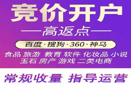 竞价排名优化策略案例分析